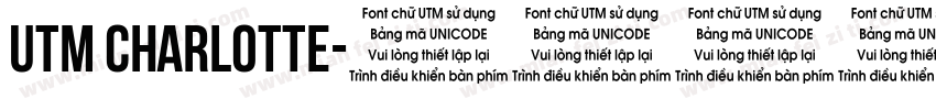UTM Charlotte字体转换